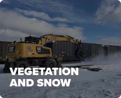 Vegetation and Snow